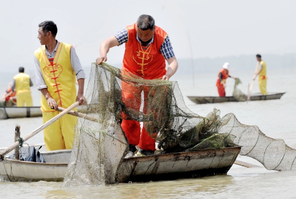Fishermen catch crayfish at Longquan Lake in Xuyi County, east China's Jiangsu Province, May 15, 2014 [Xinhua]