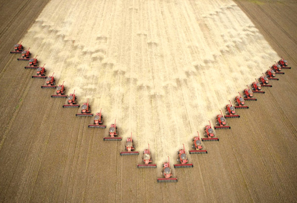 Farmers in a farm in Mato Grosso harvest soybeans [Xinhua]