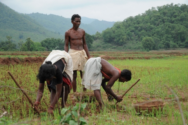 Agriculture employs more than half of India's 1.25 billion people [Image: People's Archive of Rural India]