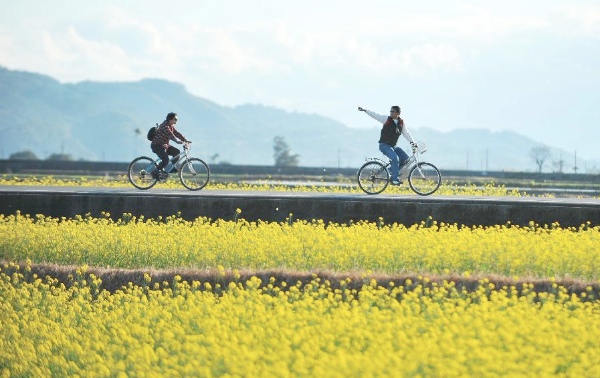 Rapeseed fields in Chishang Township of Taitung County, southeast China's Taiwan [Xinhua]