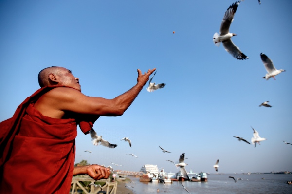A Buddhist monk feeds sea gulls at Botahtaung Jetty in Yangon, Myanmar, March 12, 2015 [Xinhua]
