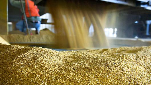 China is the world's top buyer of DDGS, a protein-rich by-product of corn ethanol that is used as a substitute for corn and soymeal in animal feed [Xinhua]
